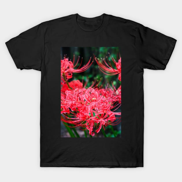 Red Spider Lily T-Shirt by RLan